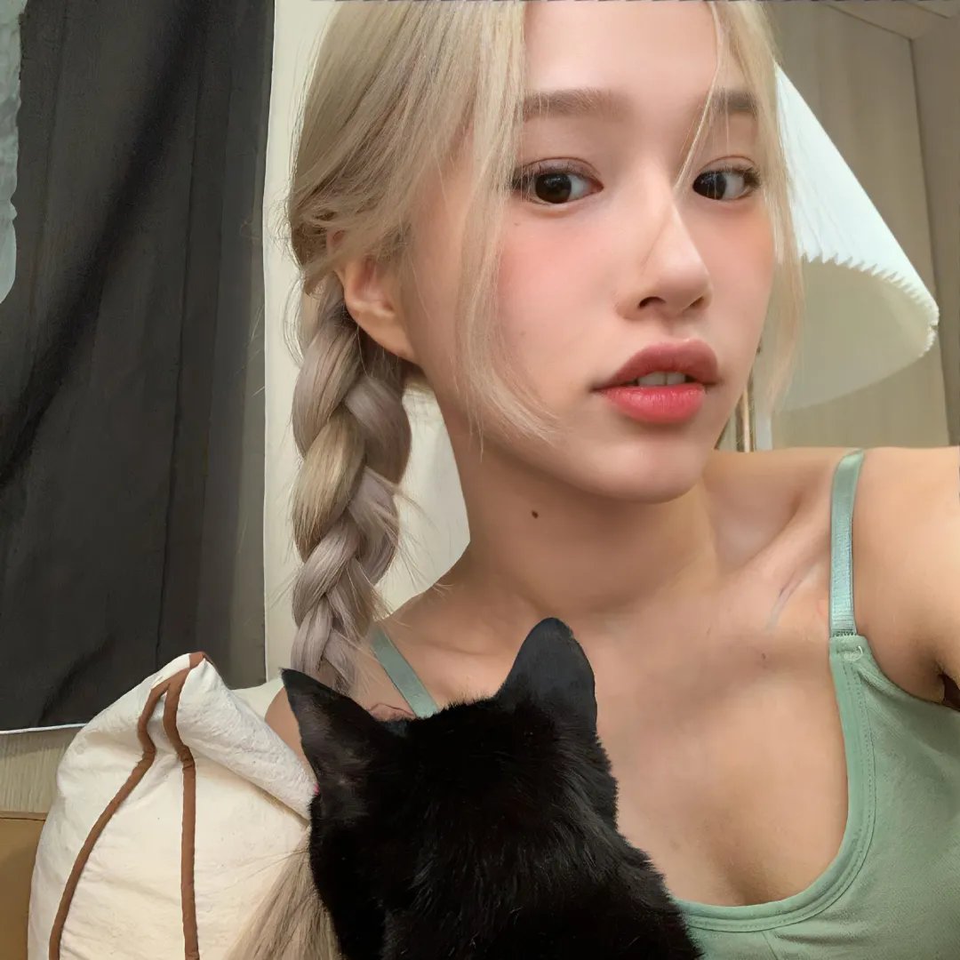 好猫咪咪